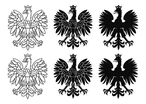 koncepcja C z krótkim i długim dolnym fragmentem dzioba