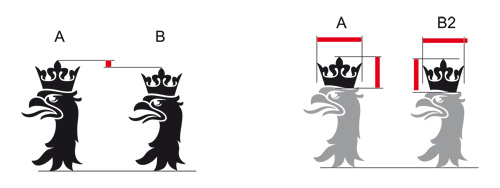 korekty głowy orła