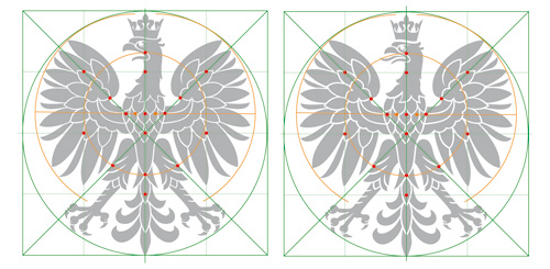 proporcje głowy orła, porównanie na siatce