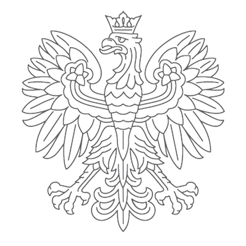 orzeł z identyfikacji MSZ