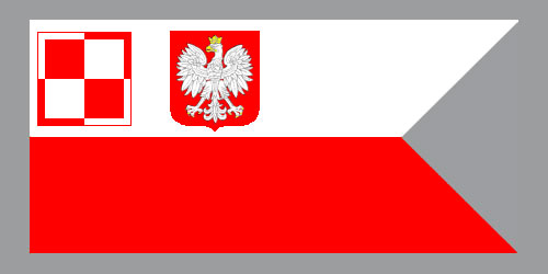 Flaga Polskich Sił Powietrznych (PSP)